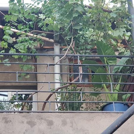 2 Santeli Turn Guest House Tbiliszi Kültér fotó